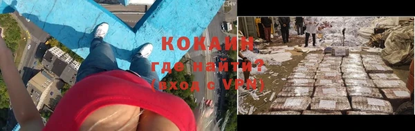 шишки Беломорск