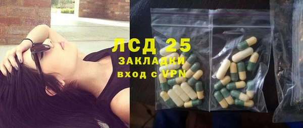 гидра Богданович
