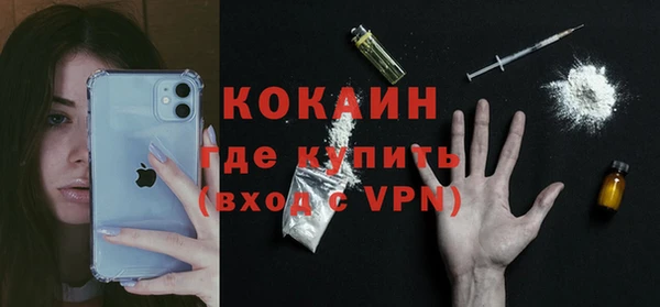 гидра Богданович