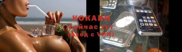 стаф Богородицк