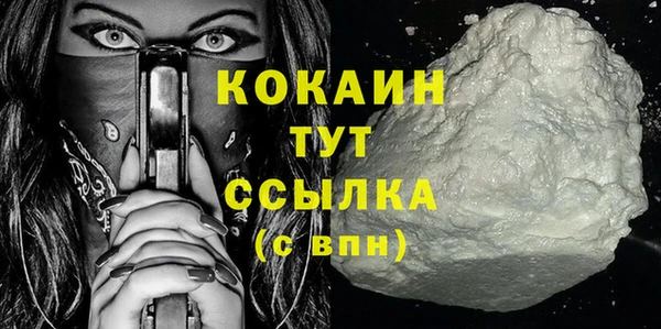 гидра Богданович