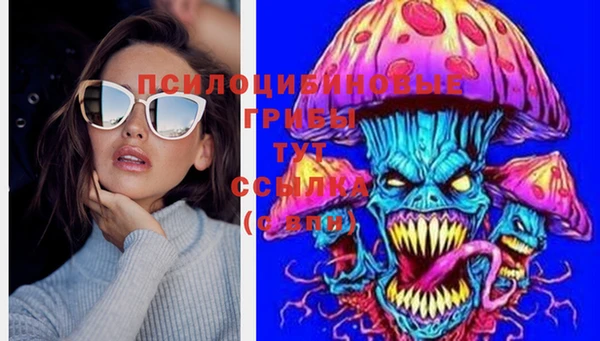 стаф Богородицк