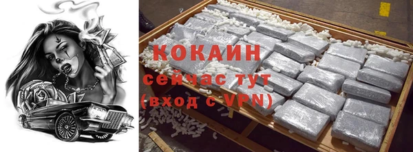 стаф Богородицк