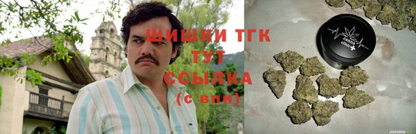 гидра Богданович