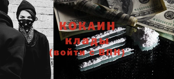 гидра Богданович