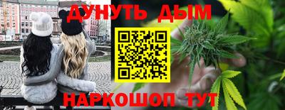 шишки Бийск