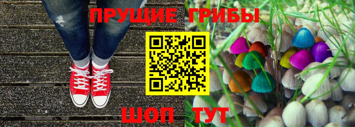 Галлюциногенные грибы Psilocybine cubensis  Горячий Ключ  Галлюциногенные грибы Psilocybine cubensis 