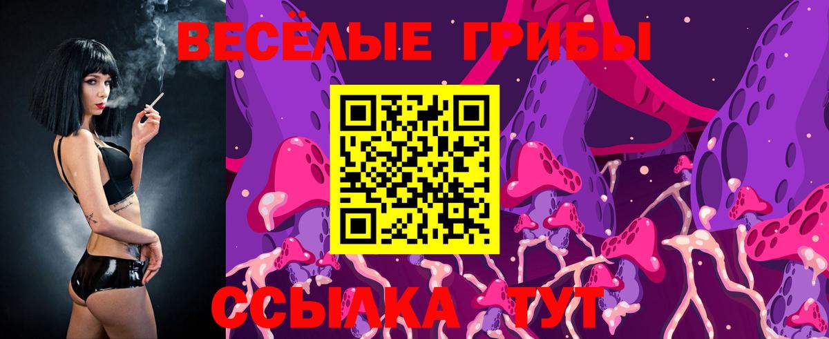 Галлюциногенные грибы Psilocybe Горячий Ключ