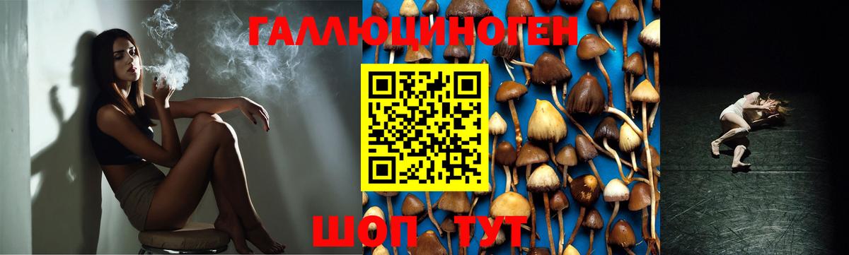 Горячий Ключ  Псилоцибиновые грибы прущие грибы  как найти наркотики  Вход с VPN 